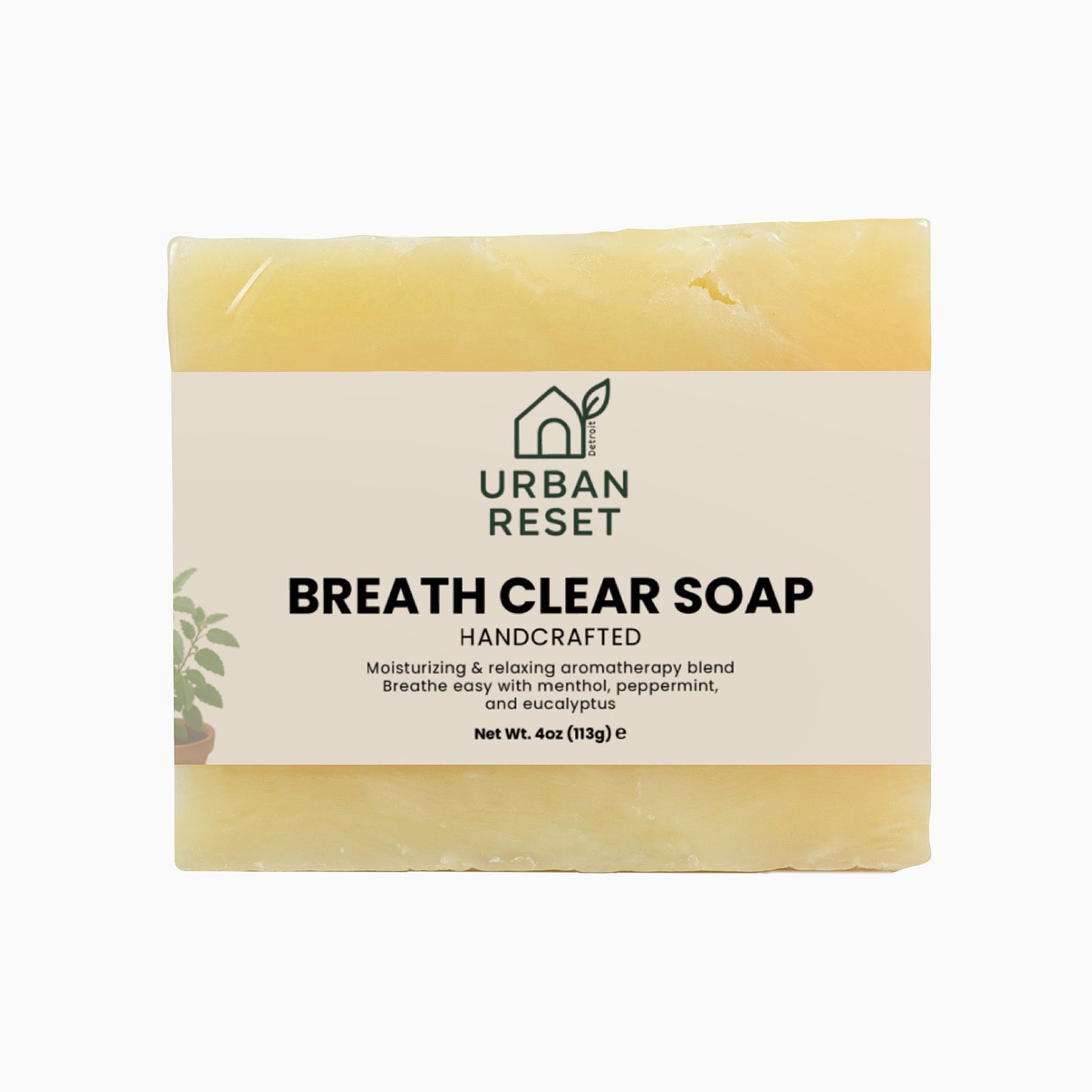 Breathe Clear Soap